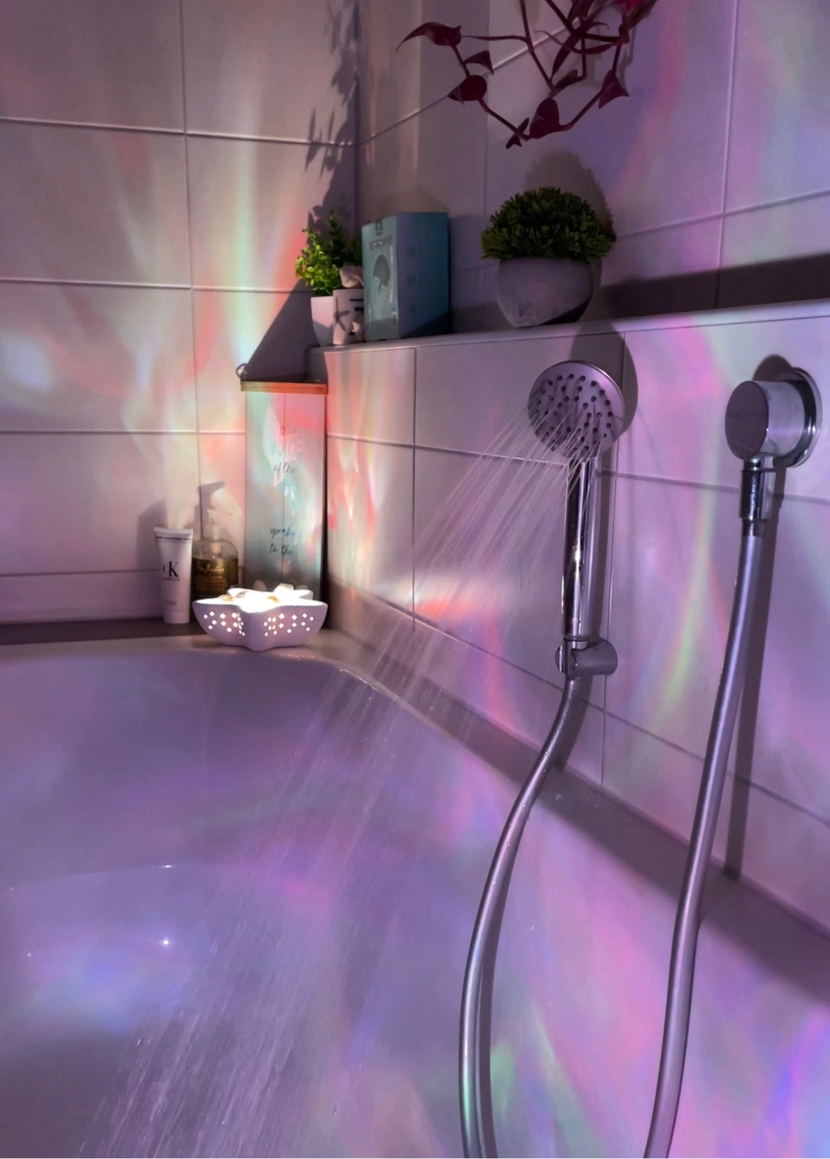 Λάμπα Αστερία Ωκεανού